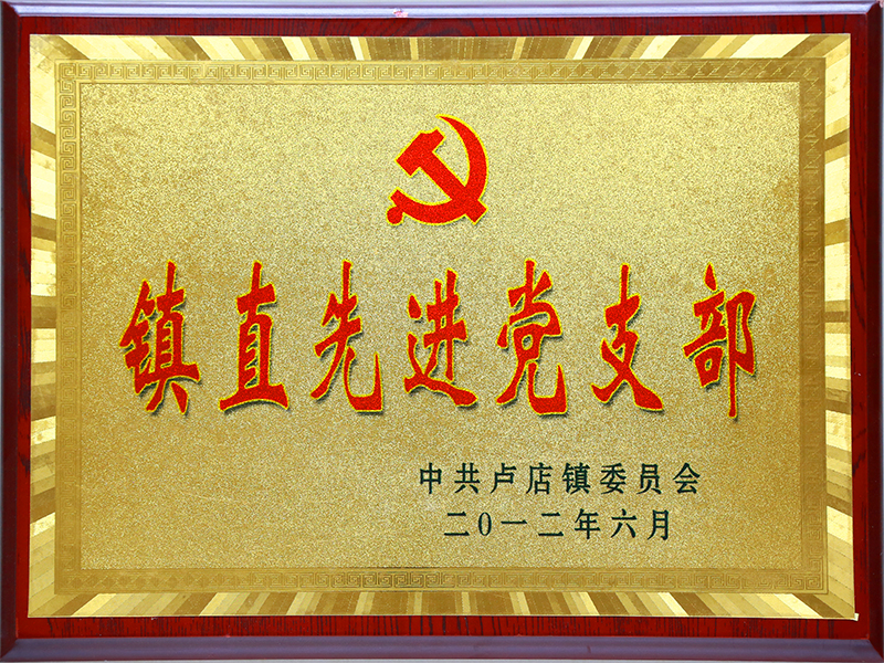 鎮(zhèn)直先進(jìn)黨支部